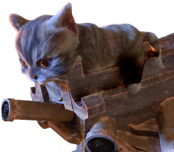 Cat facing left